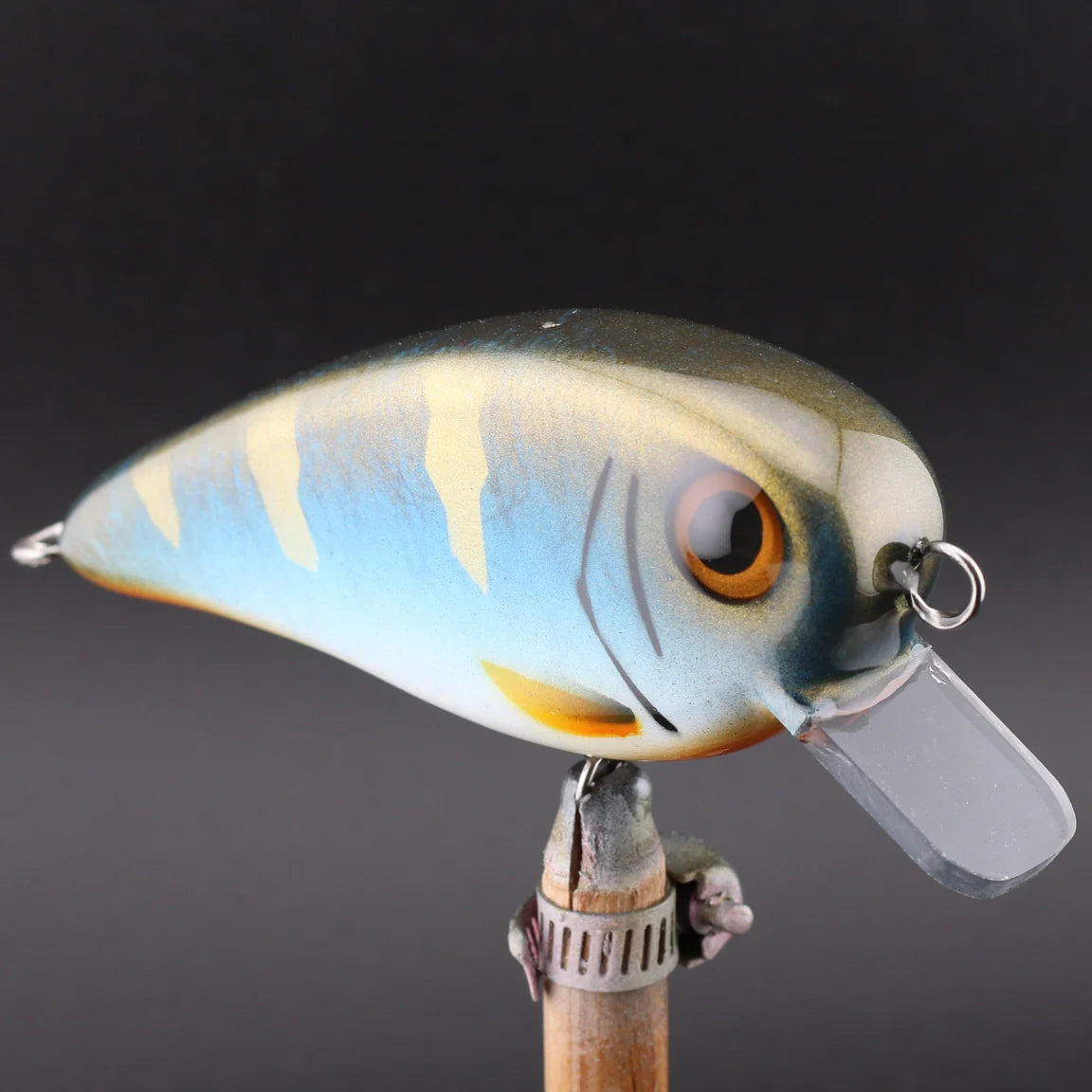 Crankbait
