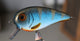 Blueshad floating