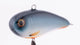 Blue shad